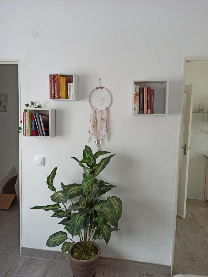 Apartamento Elizondo Giltxaurdi Buitenkant foto